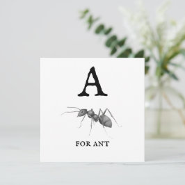 "A" para placa plana Ant