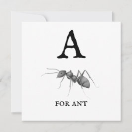 "A" para placa plana Ant