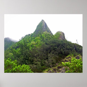 A parte superior do poster da vigia de Pali em