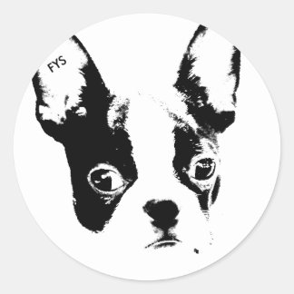 A partir do adesivo de mapeamento do YourSky