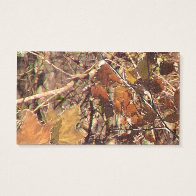 A pintura de Camo Camouflage de Hunter Personaliza (Verso)