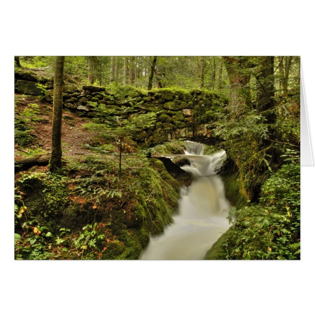 a ponte velha cartão (Frente Horizontal)