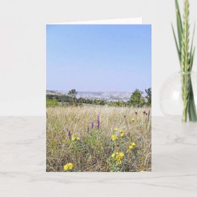 A pradaria encontra o cartão de nota do ermo (Frente)