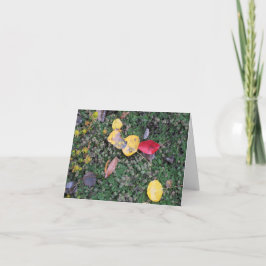 A queda colore o Cartão de condolências