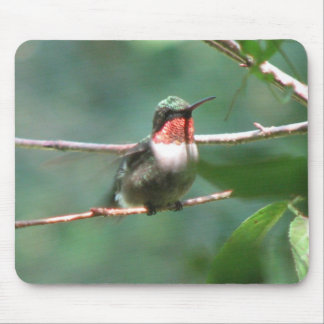 A Rubi-garganta vibra Mousepad