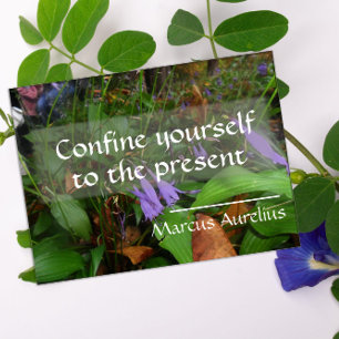 A sabedoria latina cita poster verde