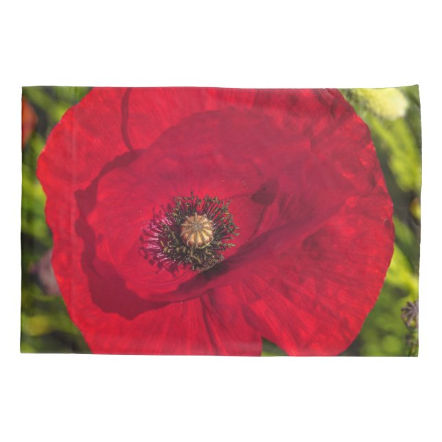 A série de papoila nº 2 (Verso)