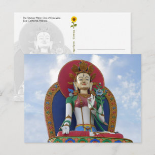 A Tara Branca Tibetana de Ensenada - cartão postal