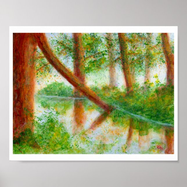 A Terra Colorida, Poster (Frente)