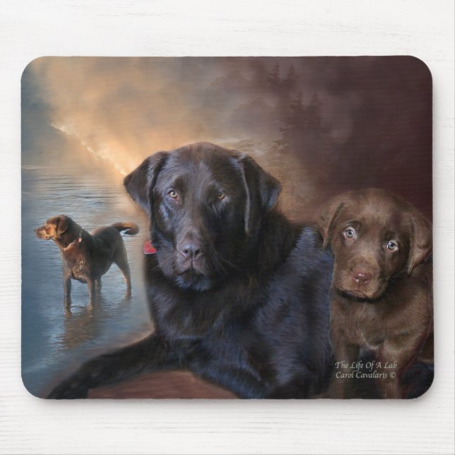 A vida de um laboratório Mousepad (Frente)