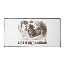 A Vida É Mas Um Sonho Maravilha Dormindo Rei Verme