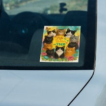 A vida é melhor com a TNR