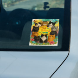 A vida é melhor com a TNR