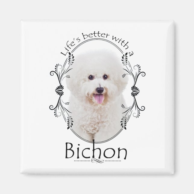 A vida é melhor que o Íman de Bichon (Frente)