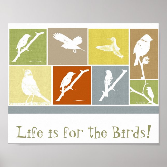 A vida é para as aves poster (Frente)