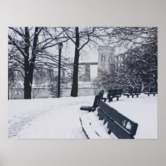 A View of Hellgate Bridge Poster