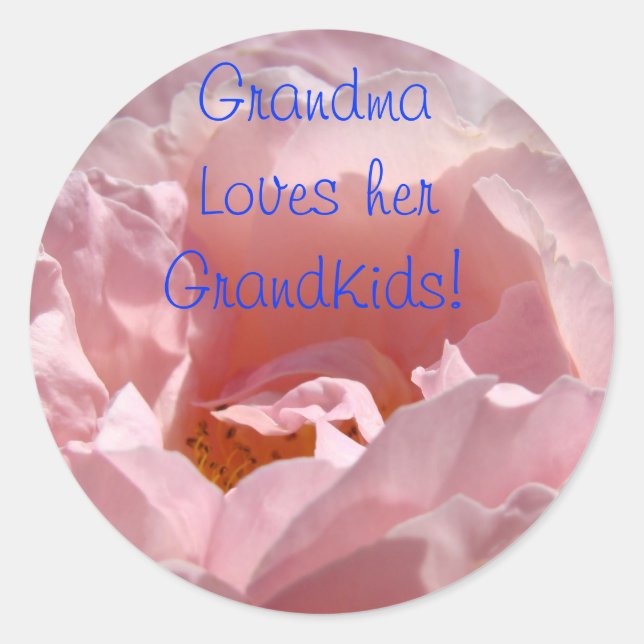 A Vovó Ama seus Netos! adesivos Rosa Rosa (Frente)