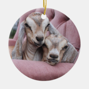 Abacate & ornamento do feriado de Smooshie