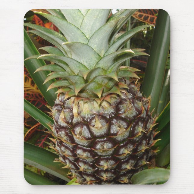 Abacaxi tropical Mousepad do quintal (Frente)
