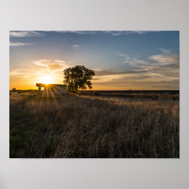 Abandonado Shed Colorado Sunset Poster (Frente)