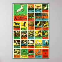Abc Alphabet Animal poster - Quadro De Auxílios Ao