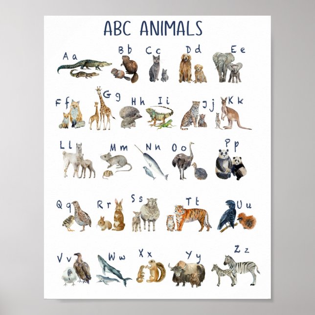 Abc. Aquarela Poster (Frente)