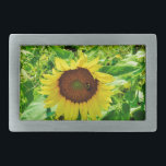 Abelha de girassol amarelo<br><div class="desc">Campo de girassol. Foto tirada pelo artista Sandy Closs. Fundo de outono e outono de um campo ensolarado de girassóis amarelos e dourados. Personalize com seu próprio texto. Outono, girassol, verão, amarelo, ouro, queda, flores naturais, campo de jardim</div>