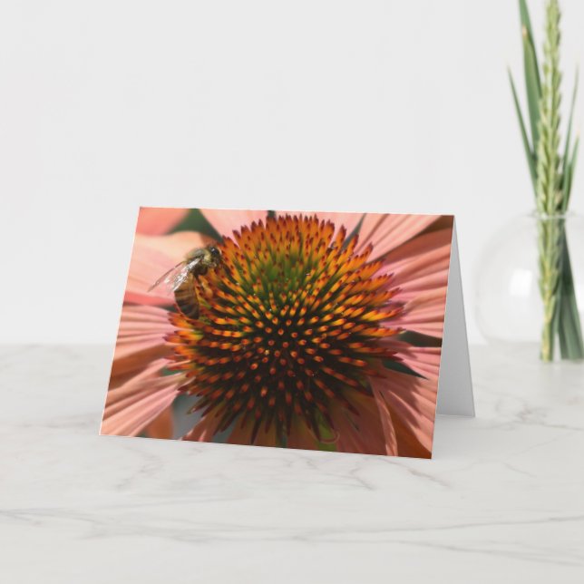 Abelha de Mel no Cartão de Saudação do Coneflower (Frente)