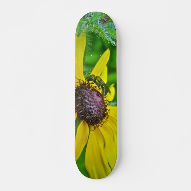 Abelha de skate e Susan de olhos pretos (Frente)