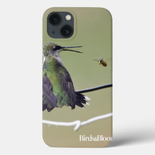 Abelha do colibri & do mel