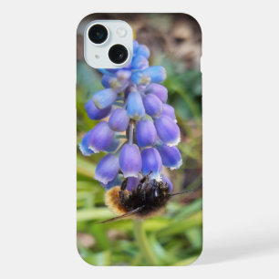 Abelha em Muscari Armeniacum , Grape Hyacinth