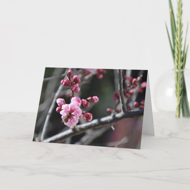 Abelha na flor - cartão (Frente)