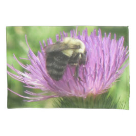 Abelha Sobre O Astro