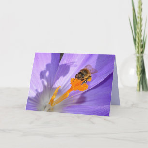 Abelhas De Bumble No Cartão com fotos Da Flor Rox