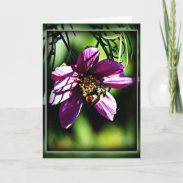 Abelhas e flores precisam de um cartão