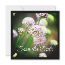 Abelhas felizes com Flores de Alho Diagonal Roxas