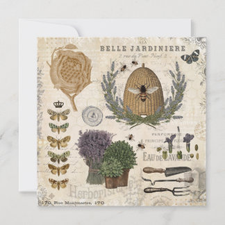 Abelhas Francesas Modern Vintage