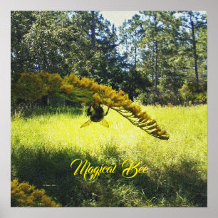 Abelhas Mágicas, Poster de Abelhas, Abelhas e Post