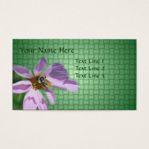 Abelhas Na Natureza Da Flor Do Cosmos Rosa