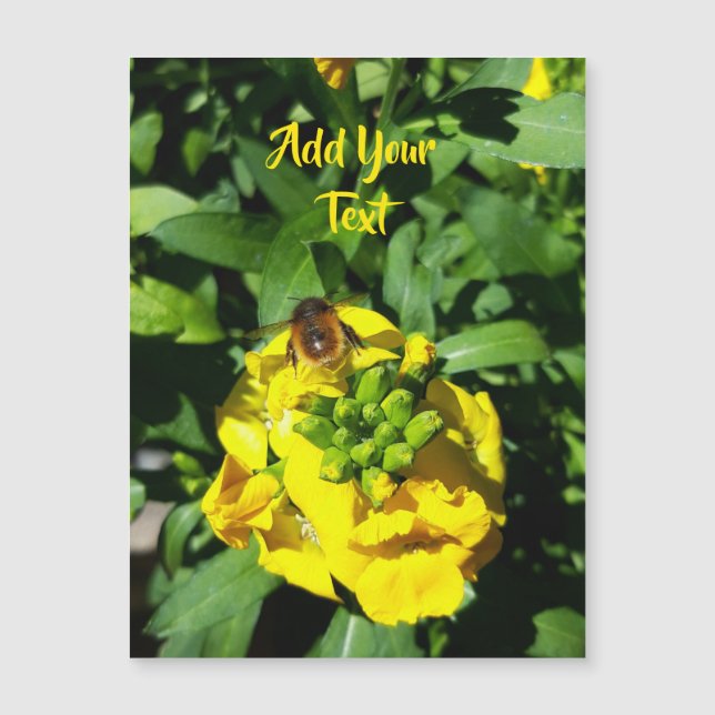 Abelhas nas Flores Amarelas (Frente)