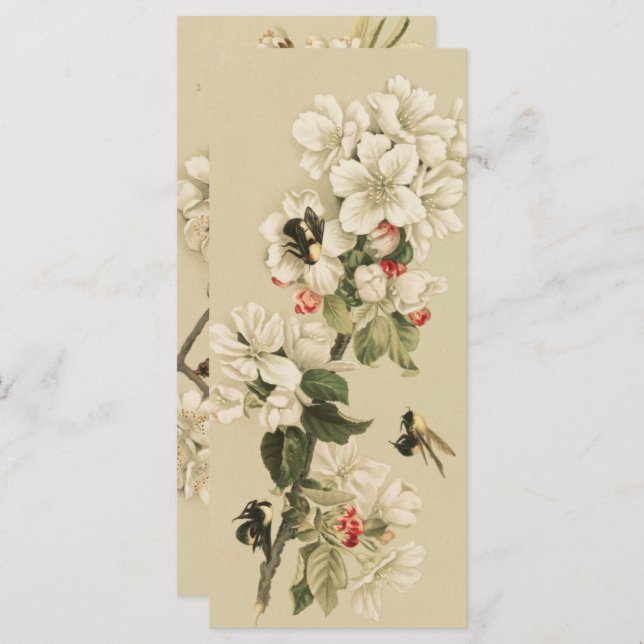 Abelhas Vintage (Frente/Verso)