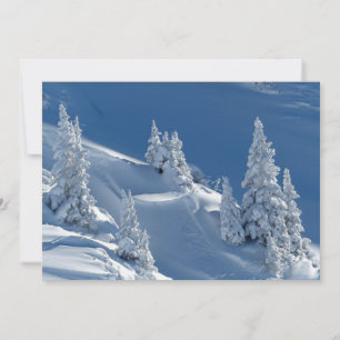 Abetos verdes cobertos com a neve do inverno