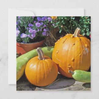 Abóboras e Flores de Outono