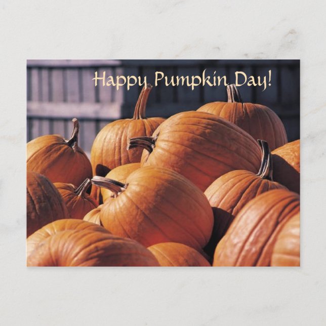 Abóboras em uma Caixa - Cartão Postal de Halloween (Frente)