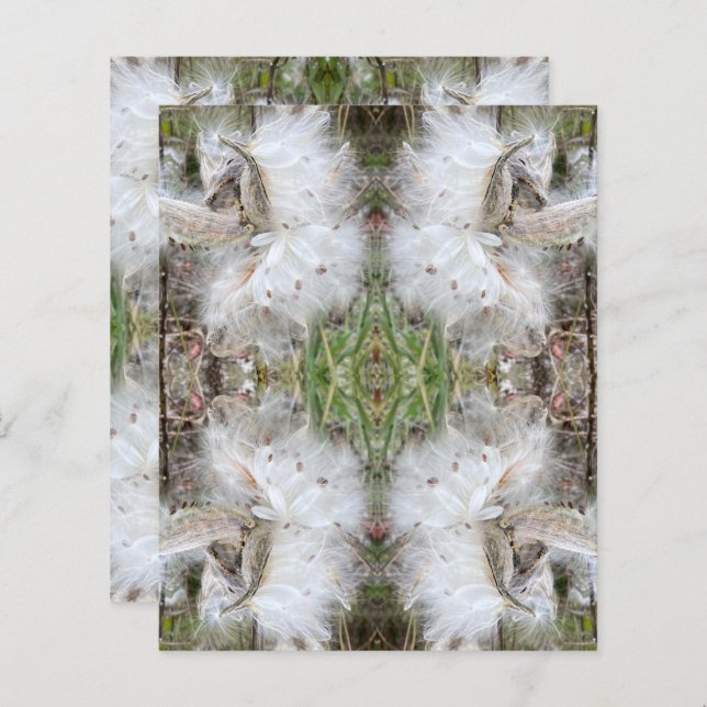 Abra Milkweed Pods | Sementes de Seda | Livro gene (Frente/Verso)