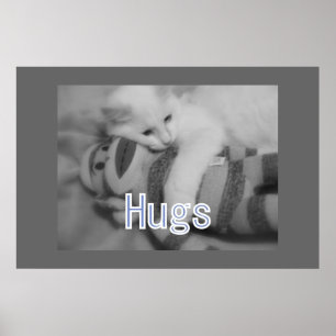 Abraça o poster do gatinho