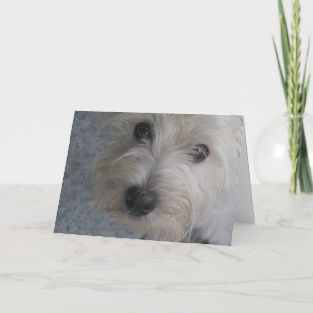 Abraçar-me - Cartão (Frente)