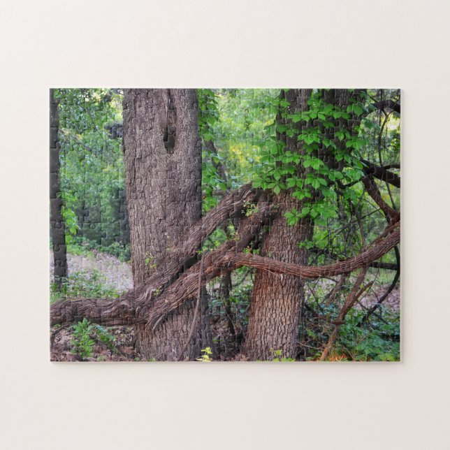 Abraçar um Quebra-cabeça da natureza divertida da  (Horizontal)