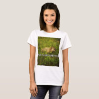 Abraçar uma camiseta de marmota