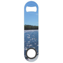 Águas azuis Sparkling do Vermilion do lago